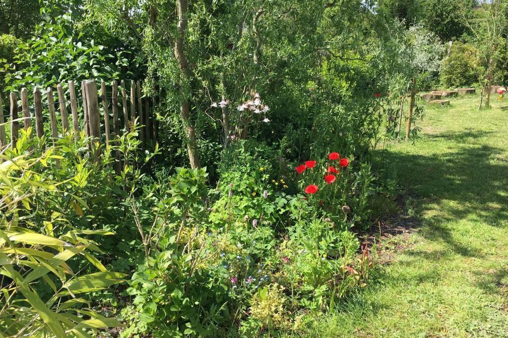 Unterkunft Am Hang Eutin Kültér fotó